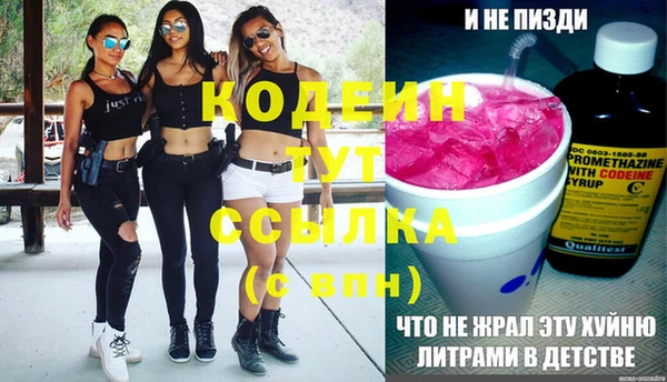 крисы Вяземский