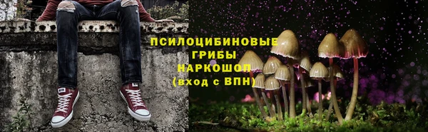 крисы Вяземский