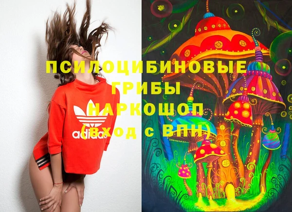 крисы Вяземский