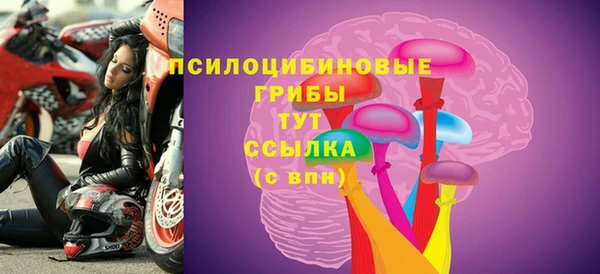 крисы Вяземский
